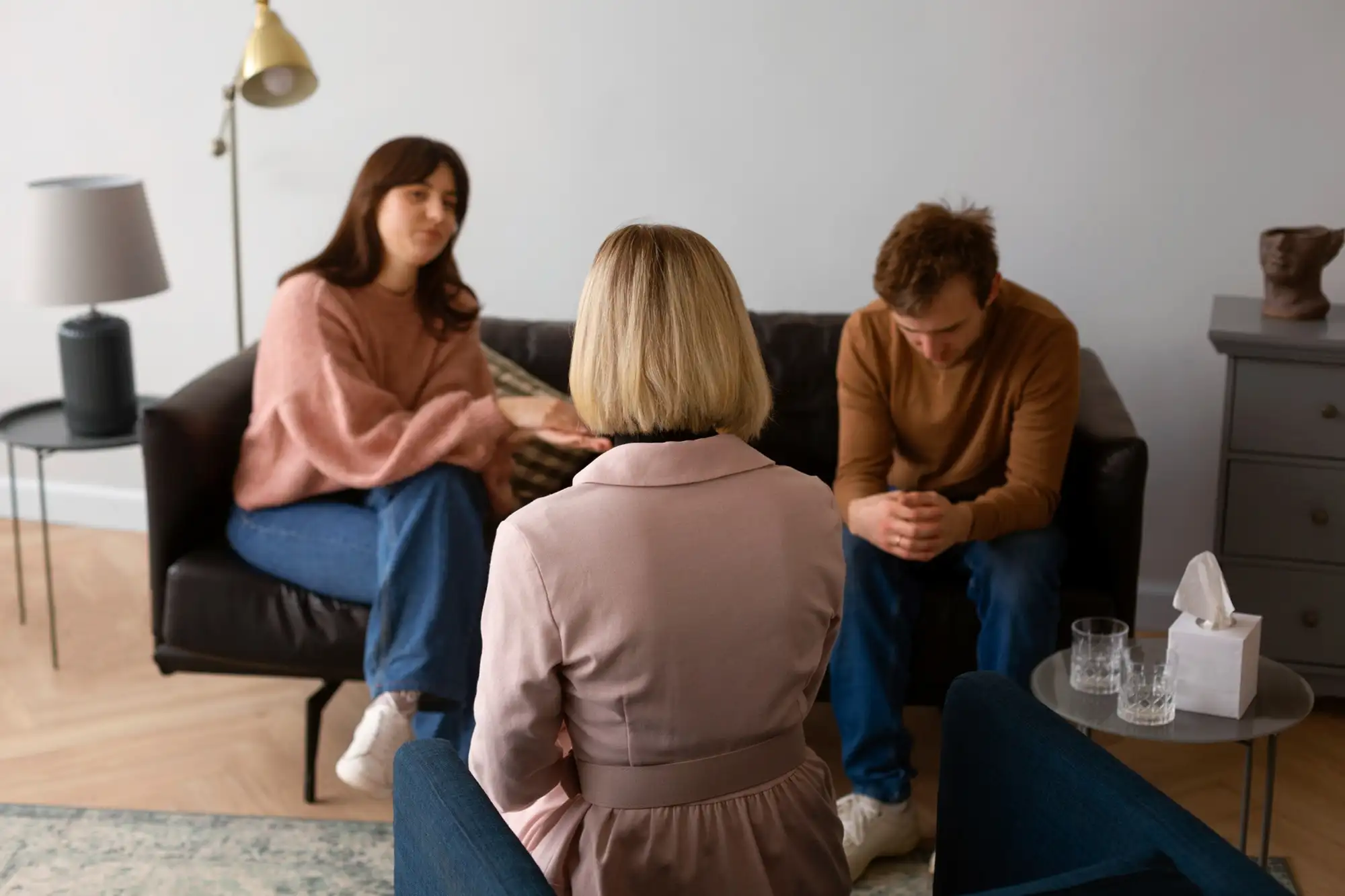 Revitalize your Emotions with Bipolar Disorder Treatment at Advance Health Preference Group in Seal Beach, Porter Ranch, Tampa Ave, California