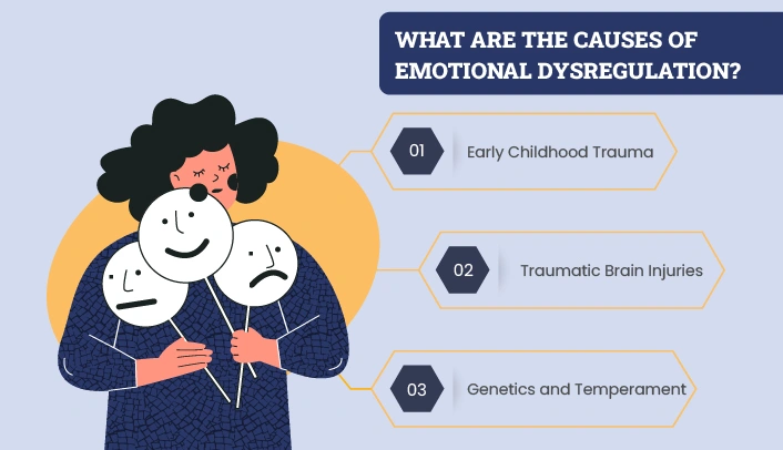Main causes of emotional dysregulation and contributing psychological factors